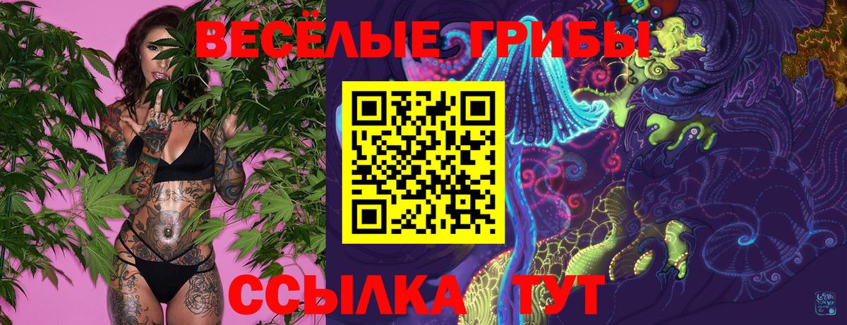 Псилоцибиновые грибы Psilocybine cubensis  Вход с VPN  Крымск 